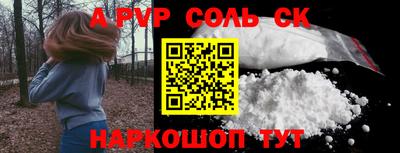 индика Гай