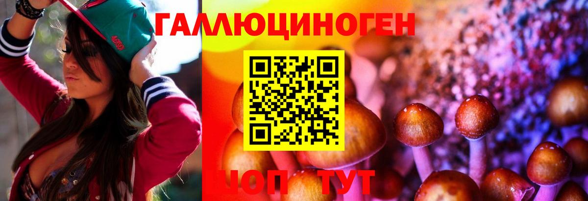 Псилоцибиновые грибы мицелий Заречный